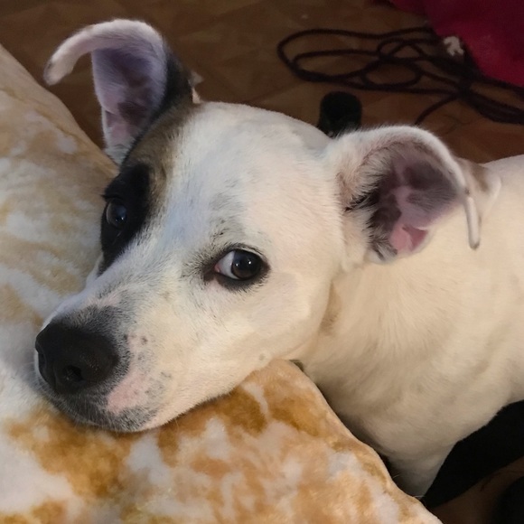 Hey it’s Cypress! - Picture 2 of 3